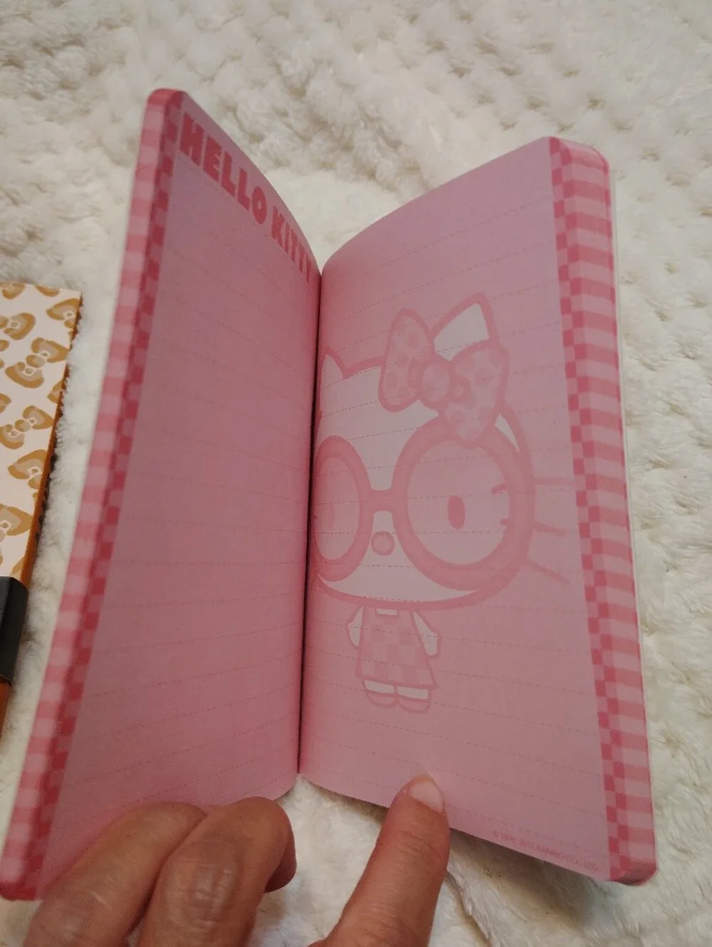 Hello Kitty Pink & Leopard Print Journal Duo - Forever 21